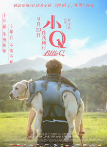 草莓视频色板